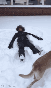 123.gif