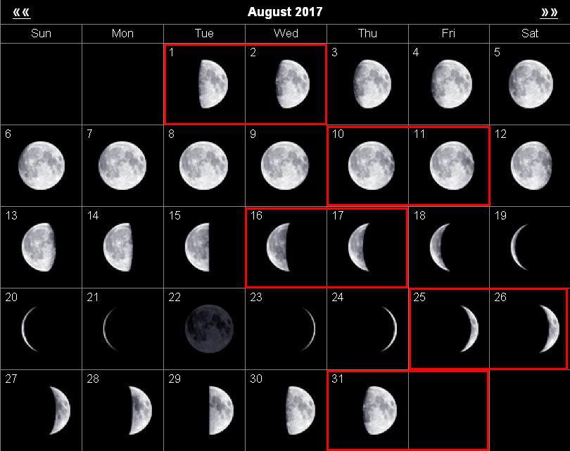 Лунные фазы луны и прически в августе