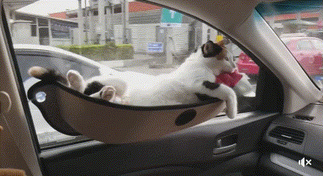 123.gif