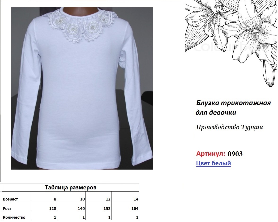 0903 Белый .JPG