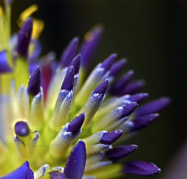 20090617_7c7ff94c201433d0890dIMBW96m9VvL9.jpg