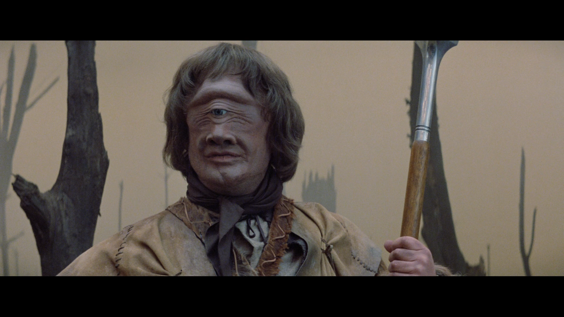 Krull.1983.BDRemux.1080p.mkv_snapshot_00.51.03_[2017.09.09_15.29.57].png
