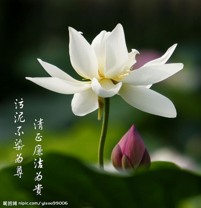 812beed0aeb484347999d97f2f9e828e046cdc881681b-kro8tB_fw658.jpg