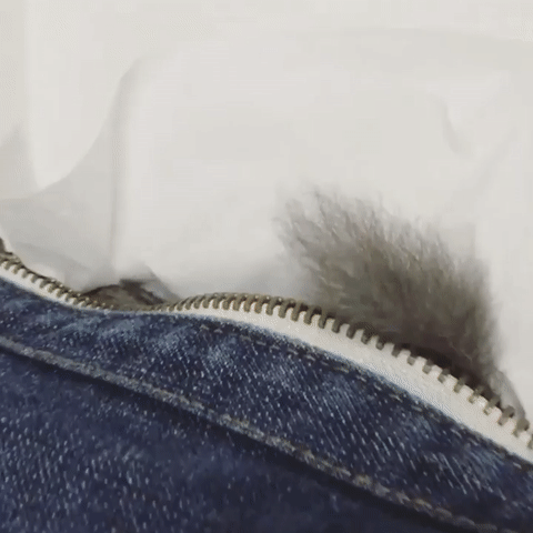 vk_com_gifmast_1.gif