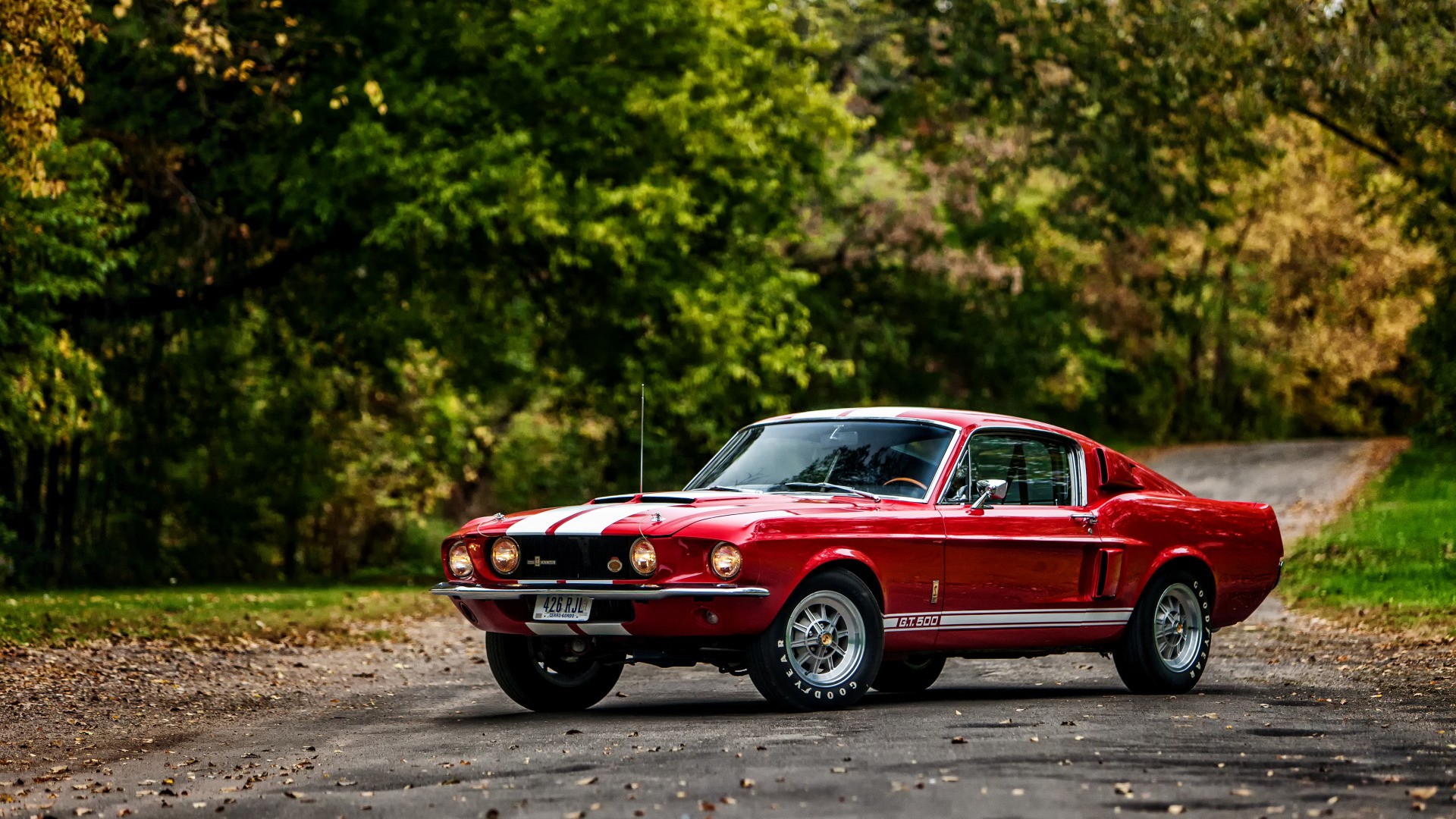 Ford Mustang Shelby gt500 на природе