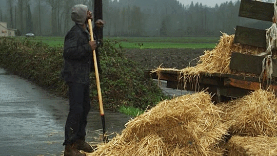 405 tumblr_oxv927stpV1r38ucmo1_540 1.gif