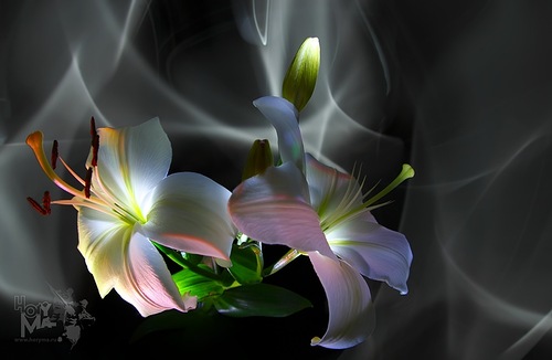 0_6deee_3f628a69_L.jpg