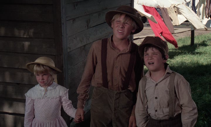 The Apple Dumpling Gang 1975 BDRip.avi_snapshot_00.23.58.png