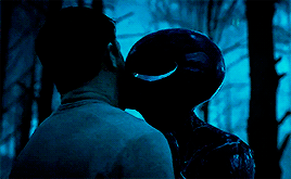 5328c0831c0e59027bab95e77f4a3d24.gif