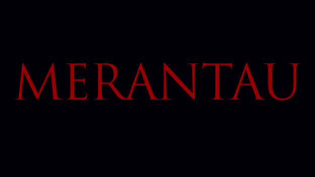 Merantau.2009.bdrip_[745]_[teko][(004319)04-52-42].PNG