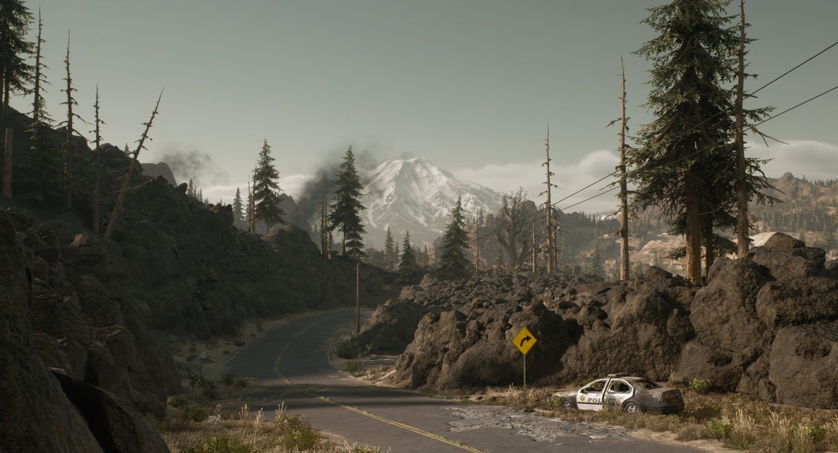 DG_WT_Landscape__3_.jpg