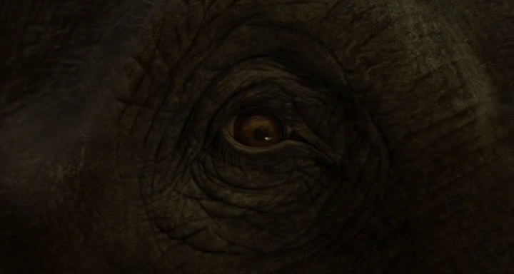 Dumbo 1080p Bluray DTS-HD MA 7 1 X264-EVO Dumbo 1080p Bluray DTS-HD MA 7 1 X264-EVO