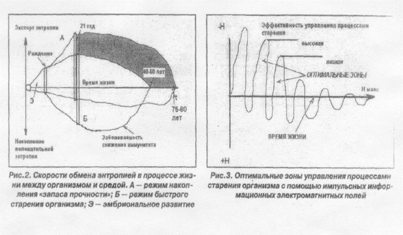 https://i4.imageban.ru/out/2019/06/14/120a2bf97a89e012be4bd4e74fe716b3.png