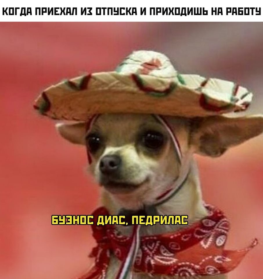 64235575_2308379339380119_5307157707457822720_n.jpg_nc_cat=108_nc_oc=AQmXVRI1aGRjHy3qyjv9A9APQBRX7tVg_c5atLpdIKJAt9285.jpg
