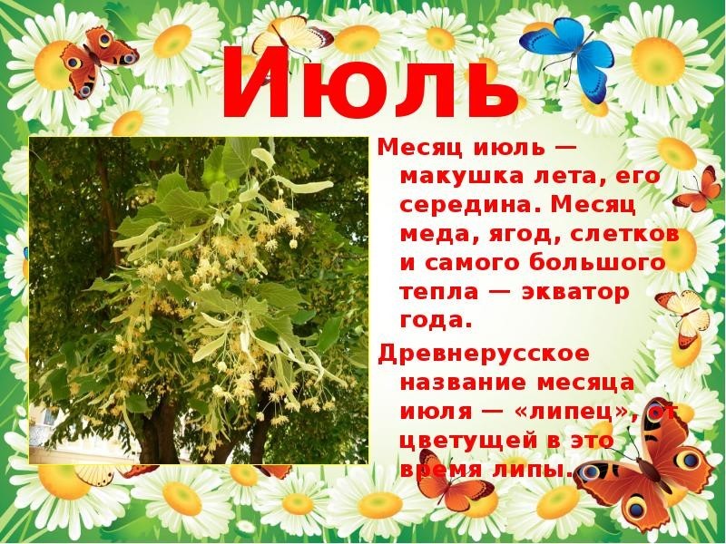 https://i4.imageban.ru/out/2019/07/13/b556f3fecf41167cb0c8dfcd3f59df1e.jpg