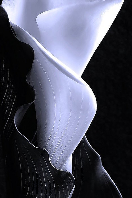 tumblr_n13wb47gut1skh9kfo1_500.jpg