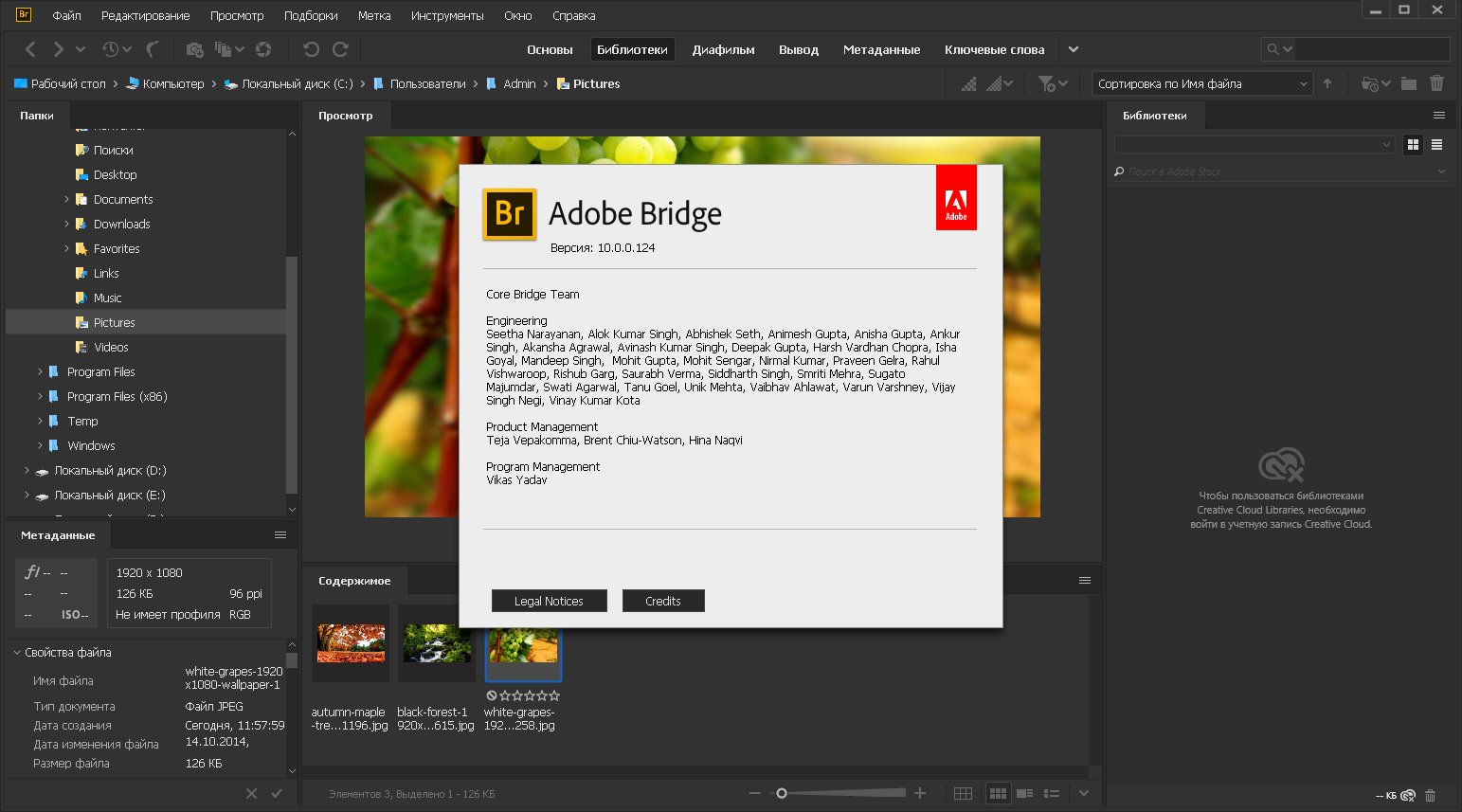 Adobe Bridge 2020 10.0.0.124 (2019) PC | Portable by XpucT