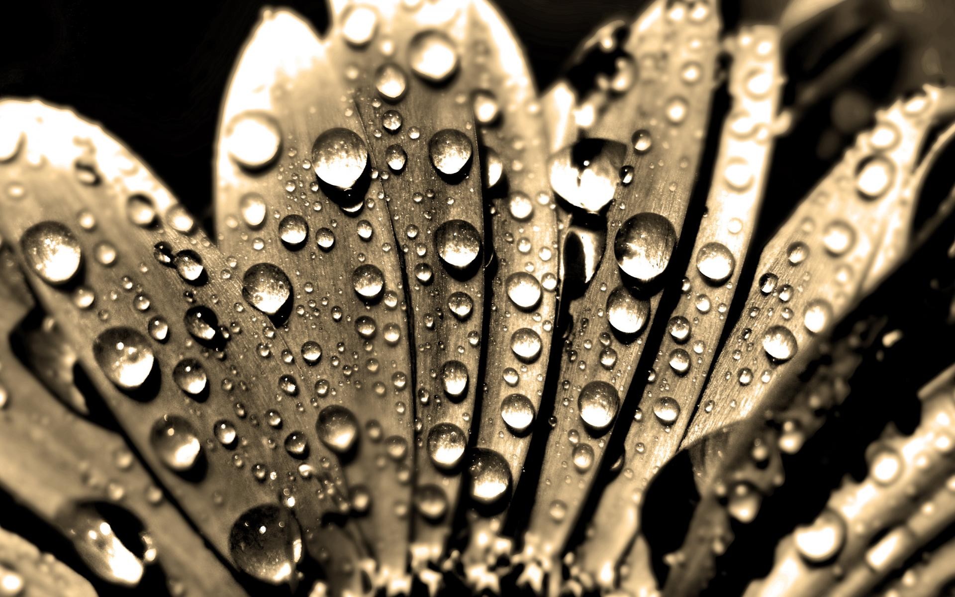 56253d039484b.jpg