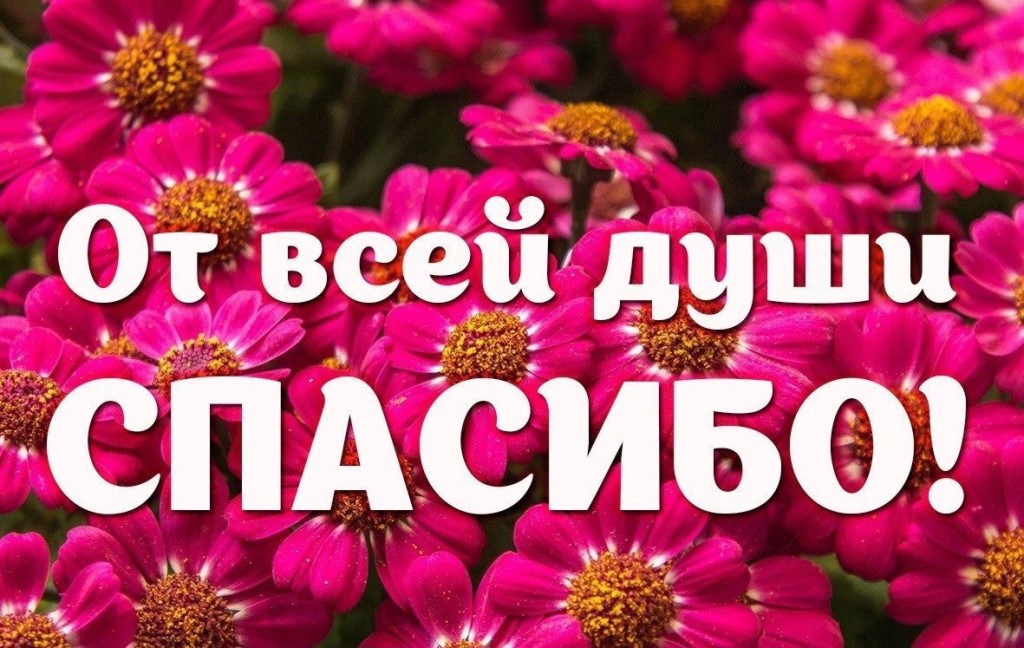 https://i4.imageban.ru/out/2020/01/27/a5cf2b897cc793c3b6266b49334b6ff8.jpg