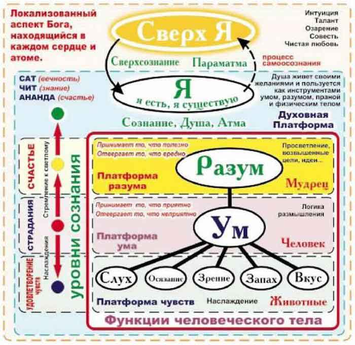 душа, ум, разум.jpg