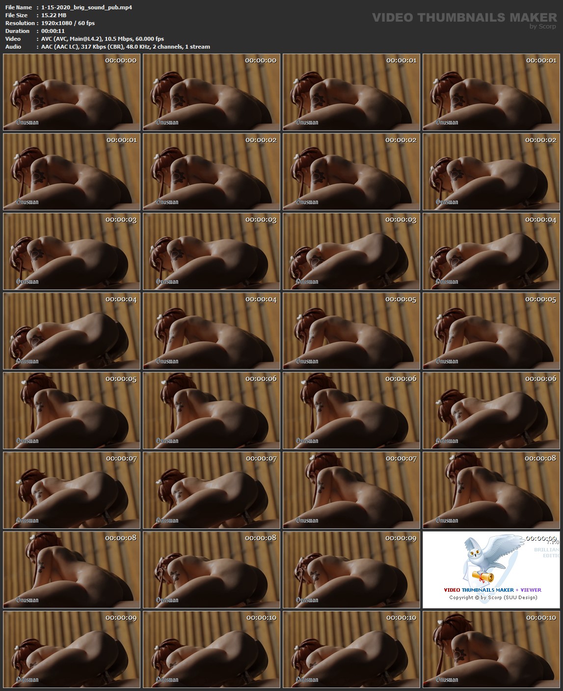 1-15-2020_brig_sound_pub.mp4.jpg