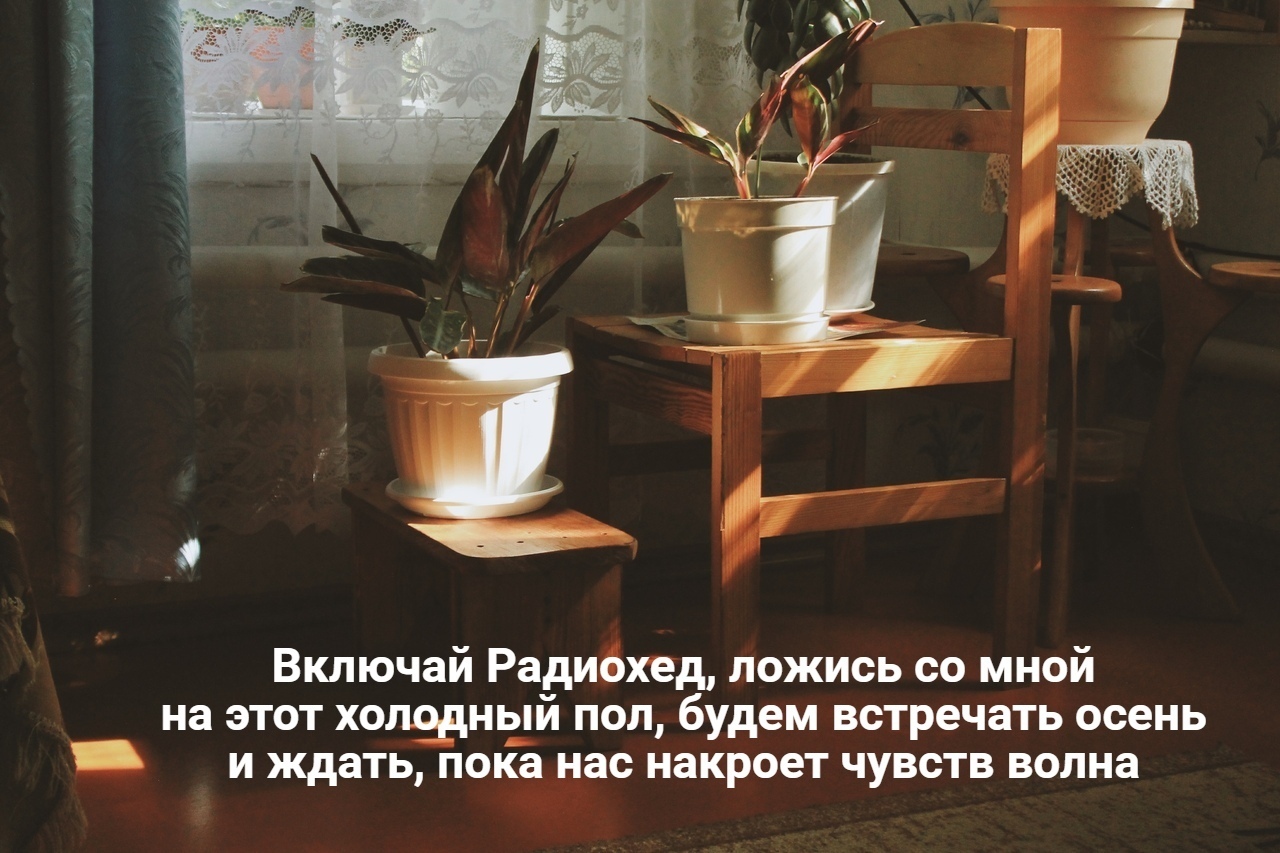 IMG_20200827_115842.jpg