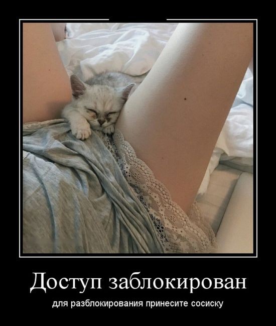 1530699915_z7ih25y09zbcer.jpg