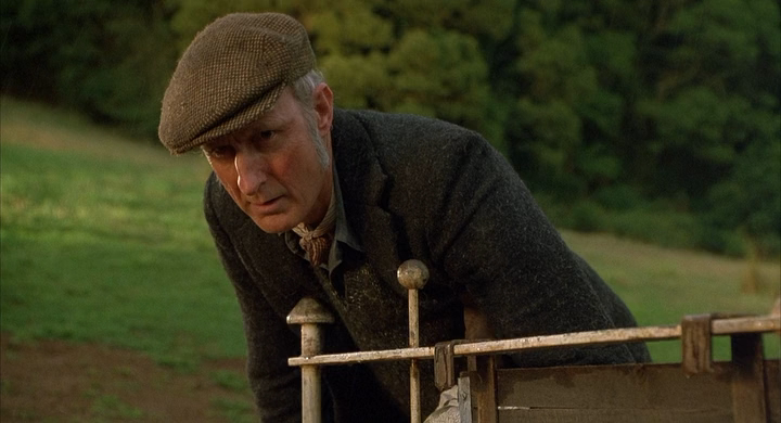 Бэйб-Четвероногий малыш.(1995).HDRip-AVC.[-=DoMiNo=-].mkv_20200913_150336.248.png