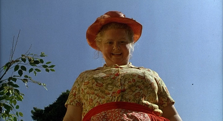 Бэйб-Четвероногий малыш.(1995).HDRip-AVC.[-=DoMiNo=-].mkv_20200913_150251.487.png