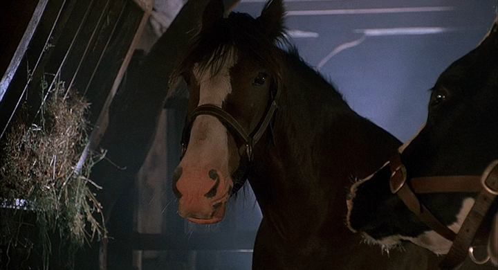 Бэйб-Четвероногий малыш.(1995).HDRip-AVC.[-=DoMiNo=-].mkv_20200913_150241.791.png