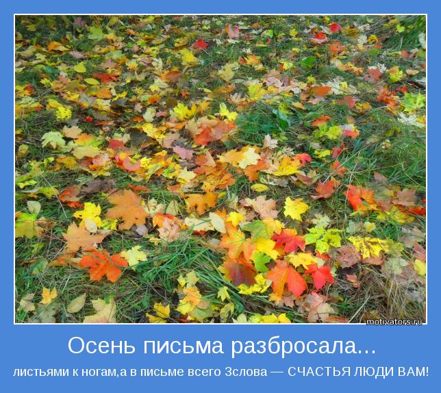 https://i4.imageban.ru/out/2020/10/25/75cf1a35d2702186db840e2210849257.jpg