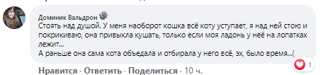 d58f555353e2e76ba994a677b8b18d74.png
