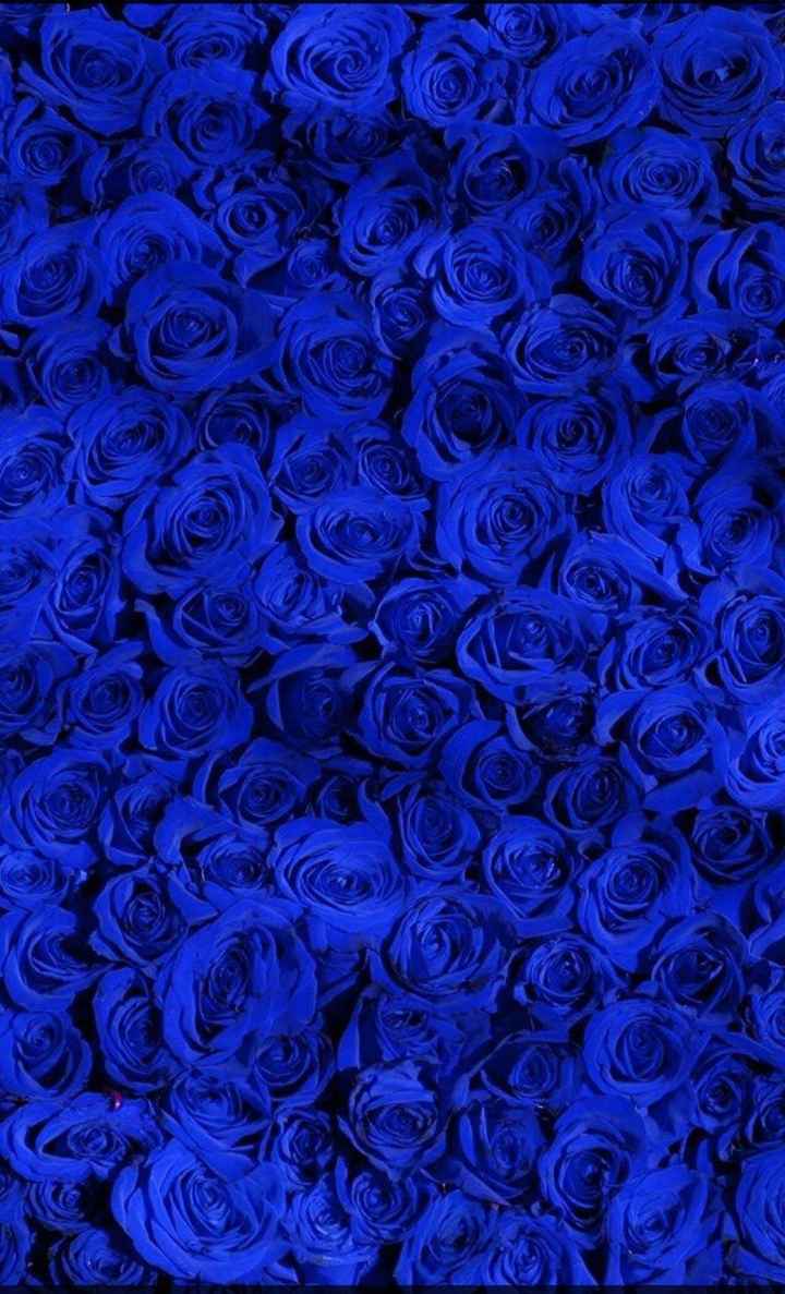 hdwallpaper_c3302c81-a833-4057-97d5-36e3f94168fc-72d50cda-122b-473f-b839-6e515134fa98_cmprsd_40.jpg