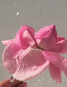 tumblr_pnrz3vzGBU1vbzt0ko2_400.gif