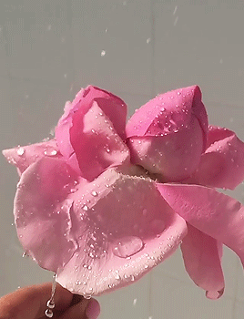 tumblr_pnrz3vzGBU1vbzt0ko1_400.gif