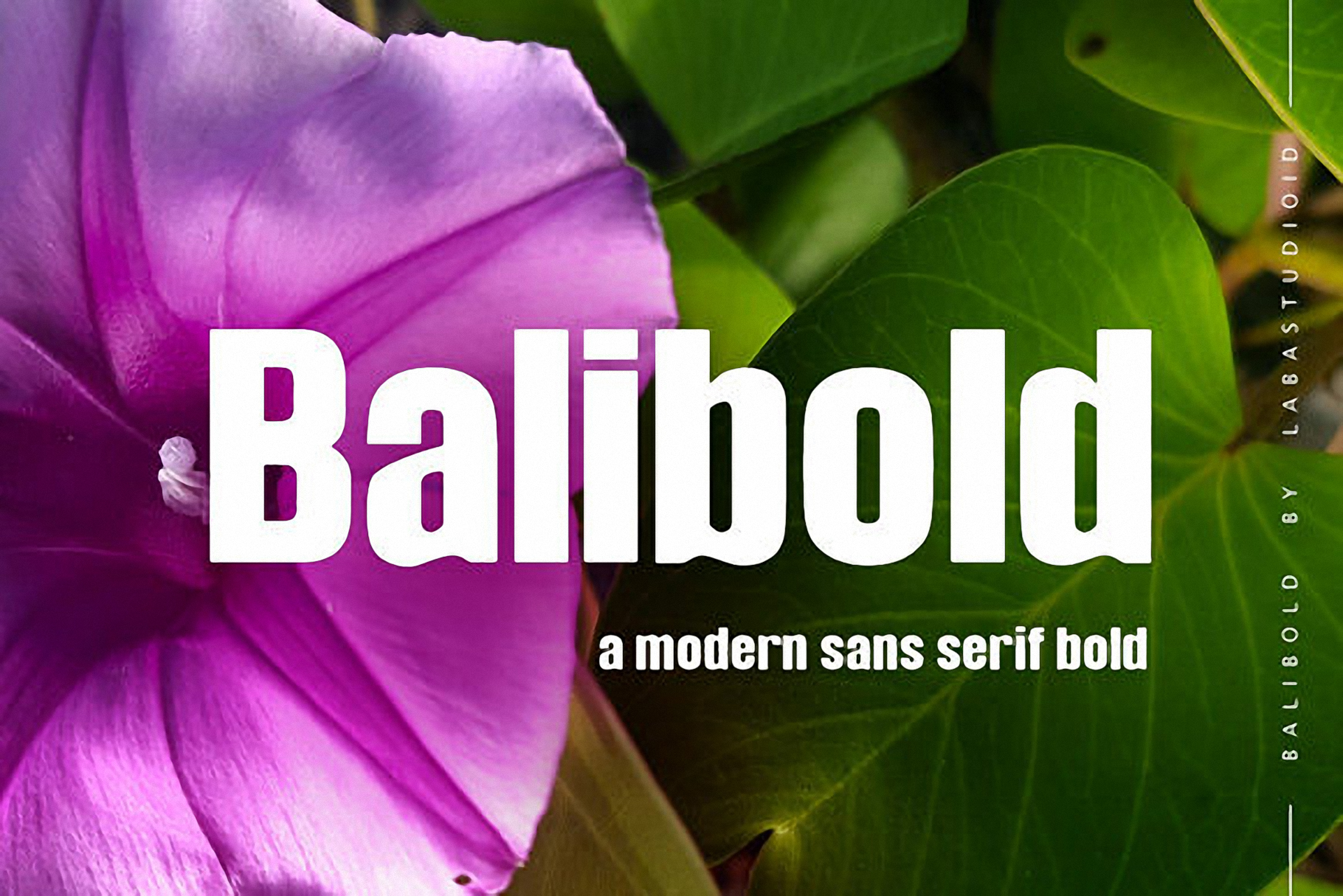 Шрифт Balibold