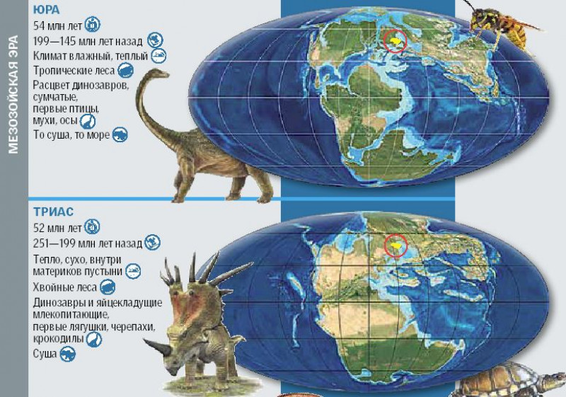 На какой территории жили динозавры