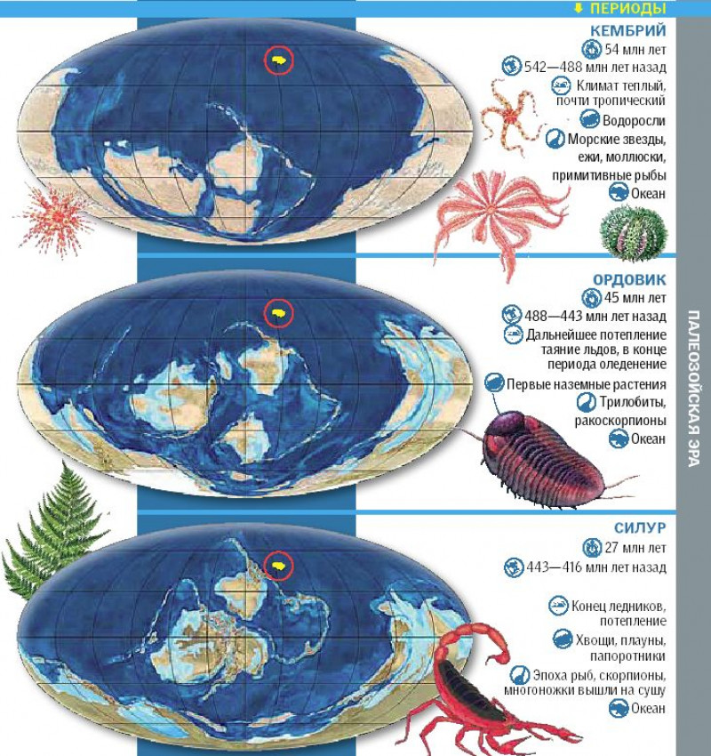 Период карта. Ордовикский период материки. Карта земли в Кембрийский период. Карта земли в ордовикский период. Кембрийский период материки.