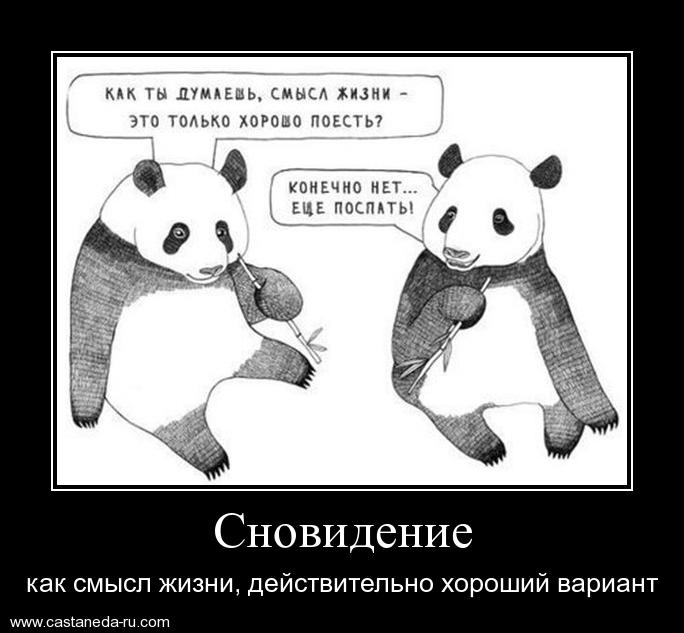 https://i4.imageban.ru/out/2021/07/17/706557ea179cc818cfc4c10e9c9eed4f.jpg