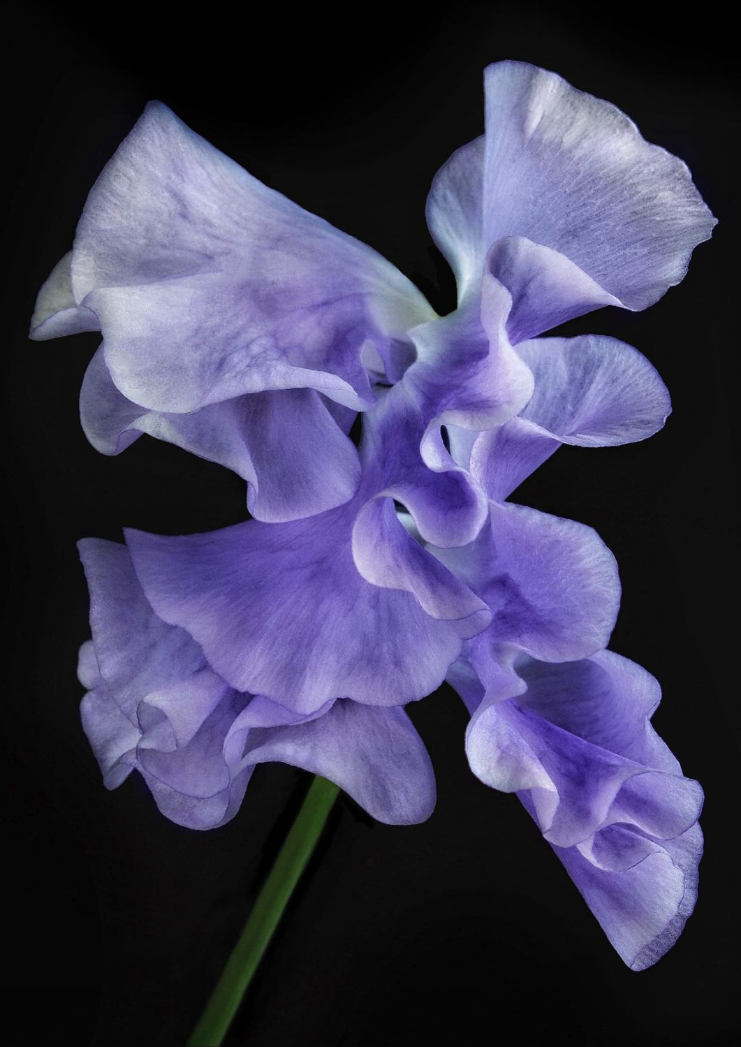 7b0cf19530871c451027c8e50f0088db0d56d4fd.png