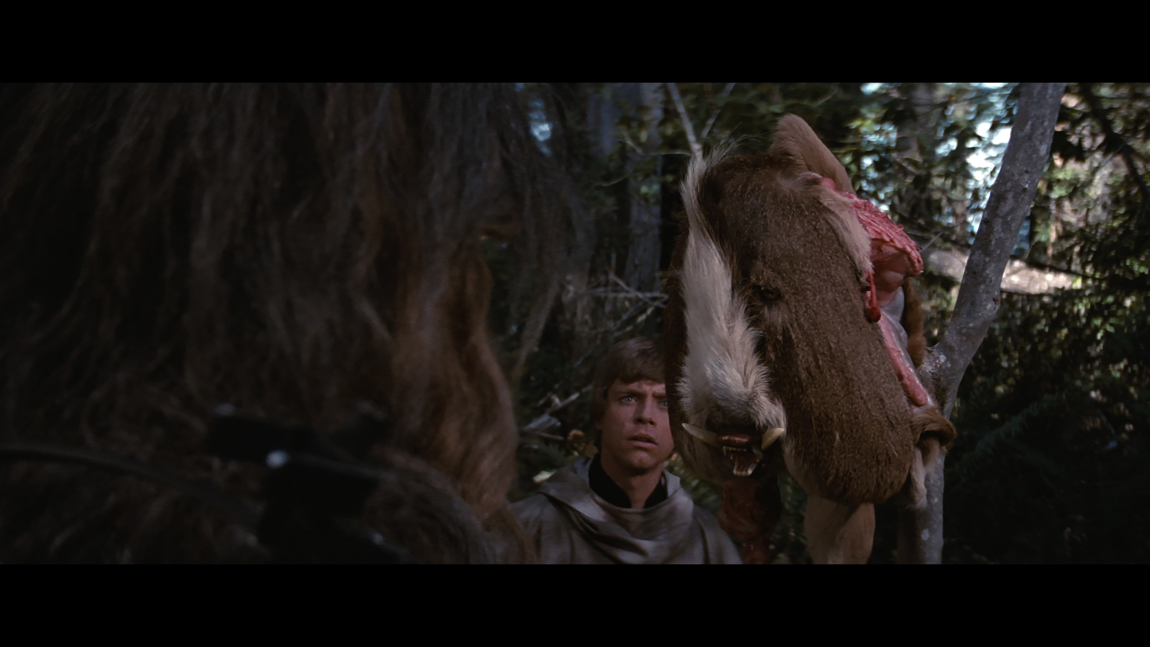Star.Wars.Episode.VI.Return.of.the.Jedi.1983.2160p.UHD.BDRemux.HDR.DV.Hybrid.TrueHD7.1-DVT.mkv_20211107_191309.948.jpg