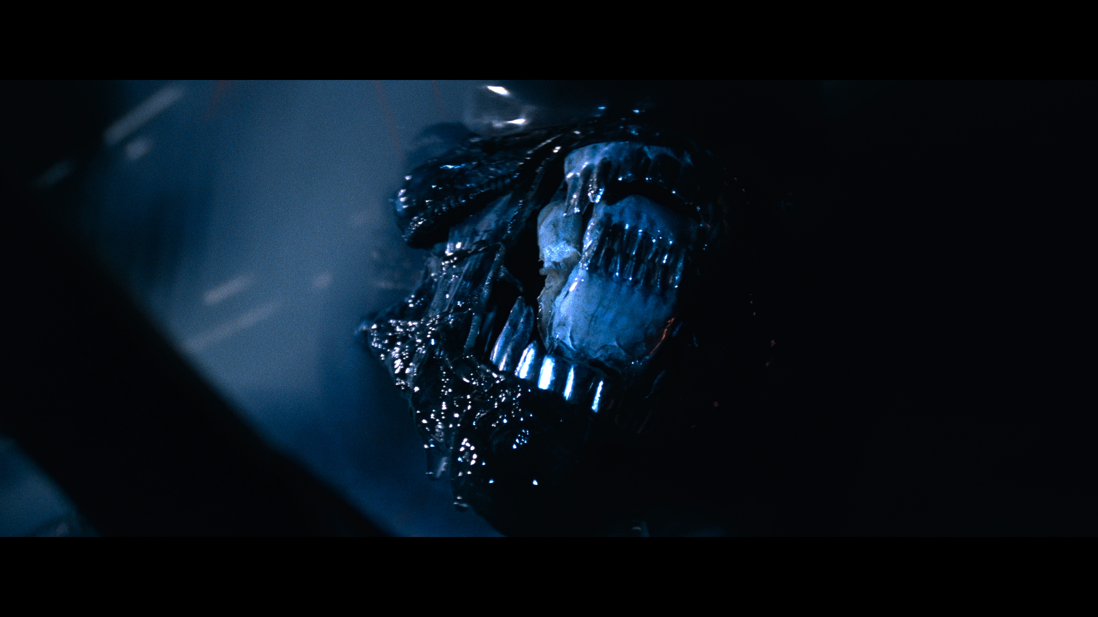 Alien.1979.Directors.Cut.2160p.UHD.BDRemux.HDR10+.DoVi.Hybrid.P8.DTS-HD.MA.5.1.by DVT.mkv_20211110_201232.007.png