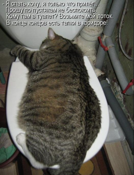 FHt6CDfWYAAjn6t.png