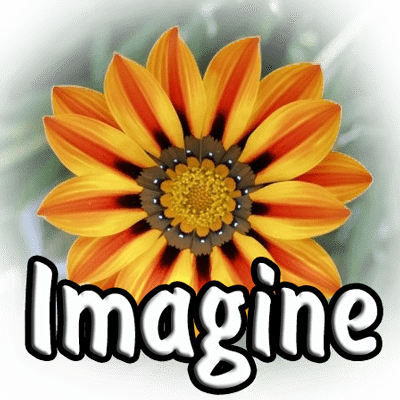 Imagine 1.4.1 + Plugins (2024) PC | + Portable