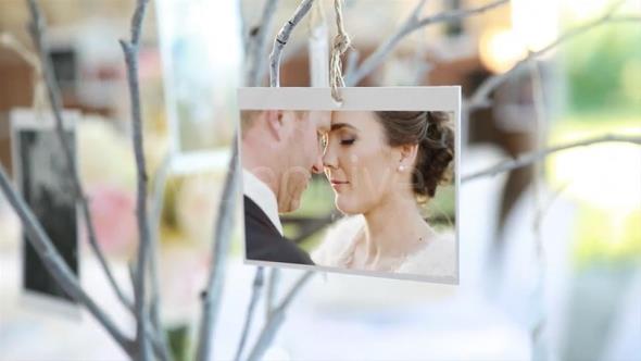 VideoHive - Photo Gallery at a Country Wedding 3766508