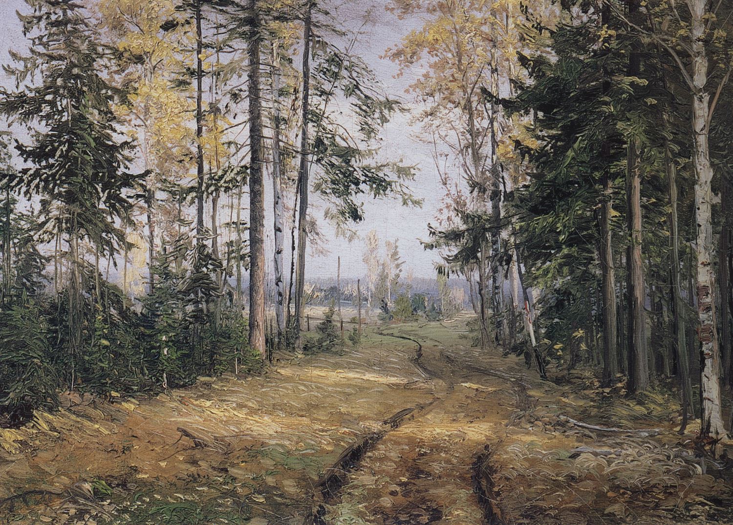 Дорога в лесу.jpg