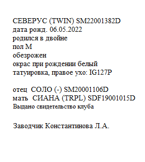 Северус анк Любушка.png