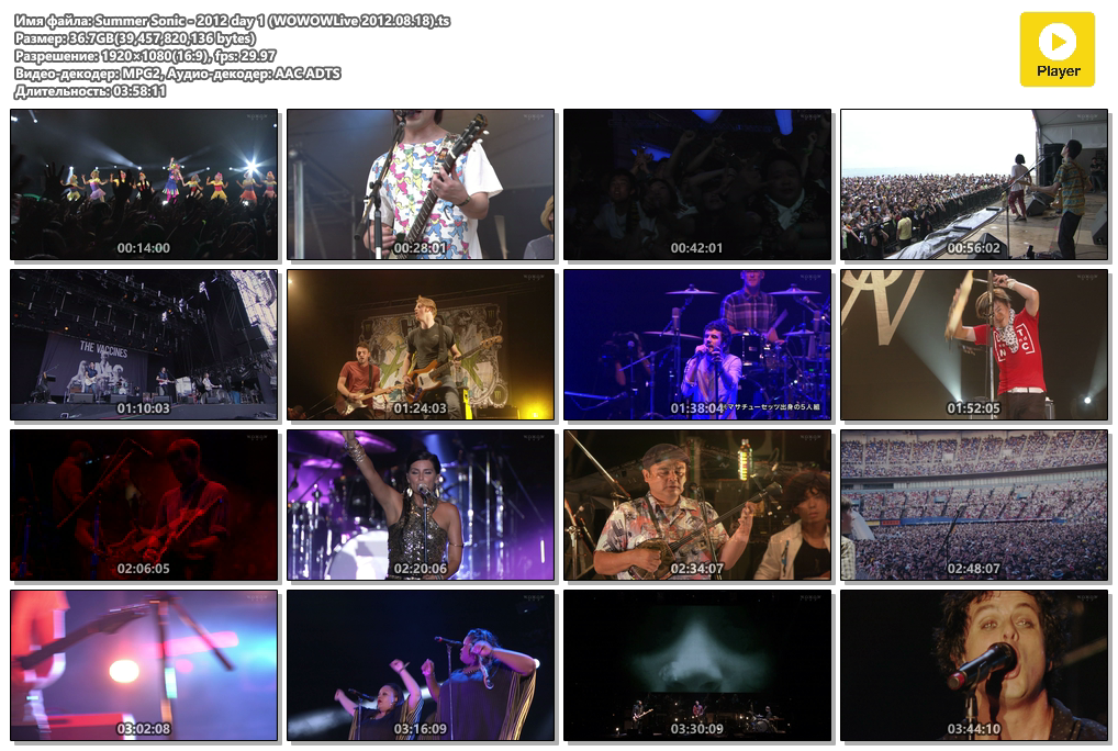 Summer Sonic - 2012 day 1 (WOWOWLive 2012.08.18).ts.png