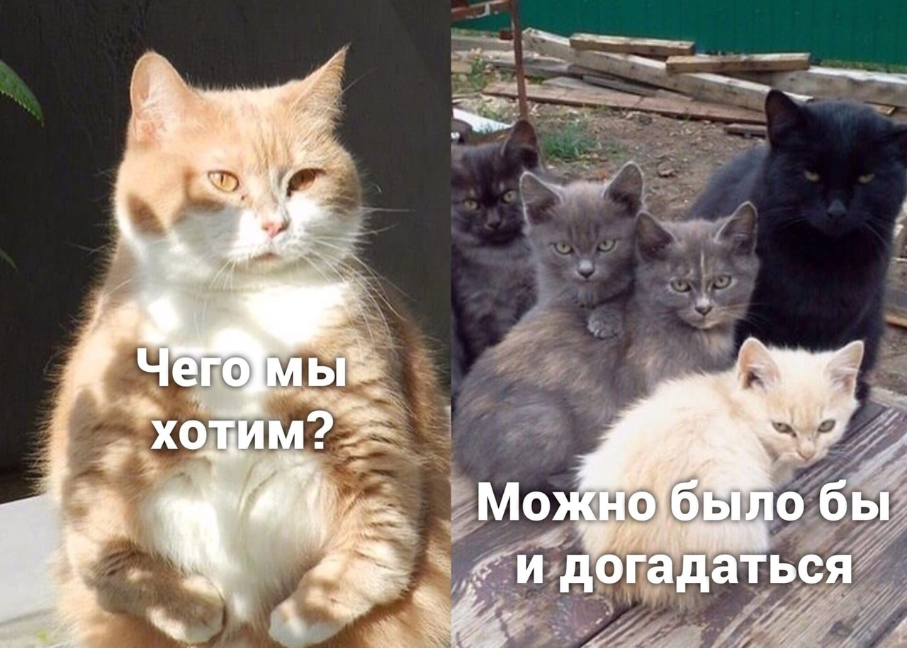 pa2.jpg