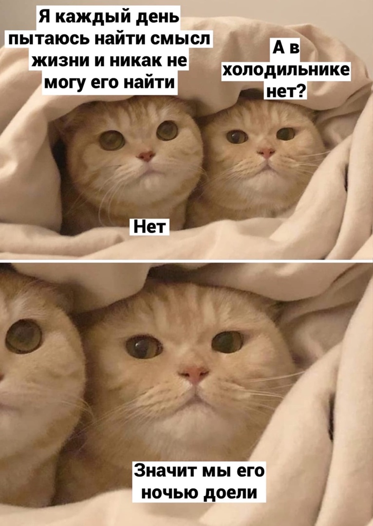 ptEIsSkLtH_I.jpg